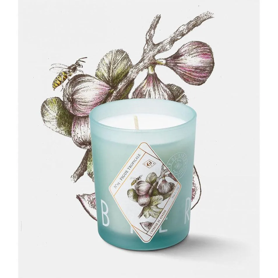 Figue Tropicale Candle